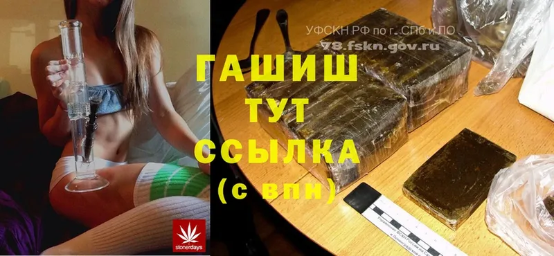 Гашиш Cannabis Кудрово