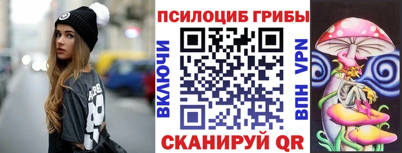 маркетплейс формула Кудрово Галлюциногенные грибы Psilocybe наркотики
