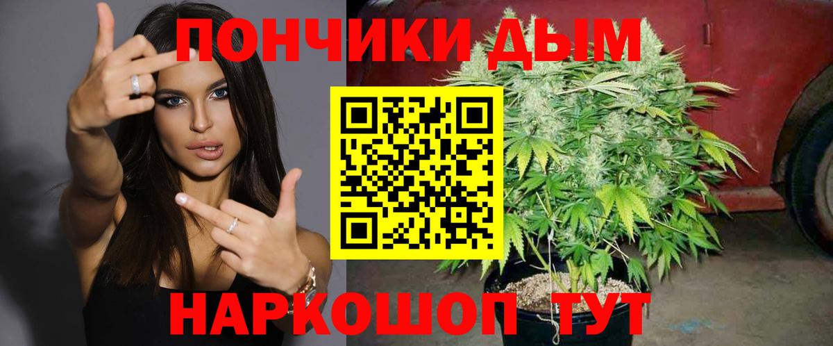 Конопля индика Кудрово